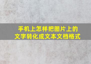 手机上怎样把图片上的文字转化成文本文档格式