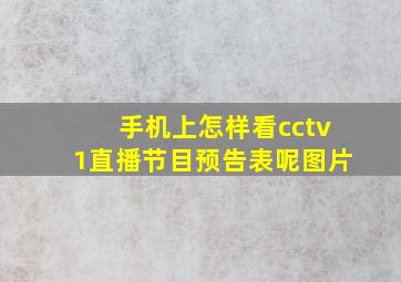 手机上怎样看cctv1直播节目预告表呢图片