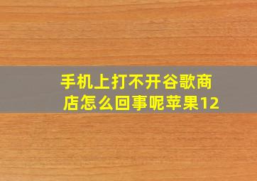 手机上打不开谷歌商店怎么回事呢苹果12