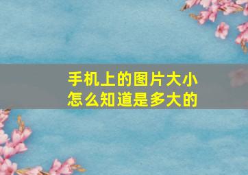 手机上的图片大小怎么知道是多大的