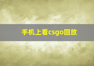 手机上看csgo回放