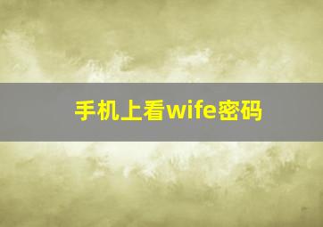 手机上看wife密码