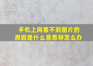 手机上网看不到图片的原因是什么意思呀怎么办