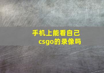 手机上能看自己csgo的录像吗