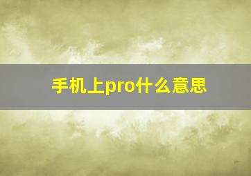 手机上pro什么意思