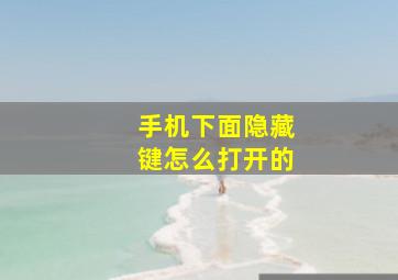 手机下面隐藏键怎么打开的