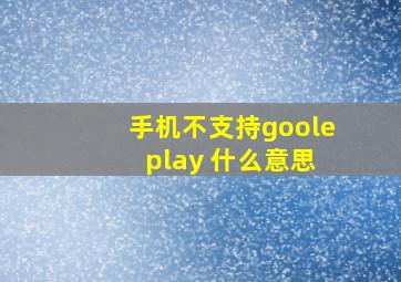 手机不支持goole play 什么意思