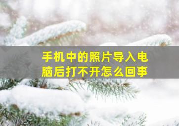 手机中的照片导入电脑后打不开怎么回事