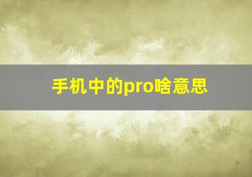 手机中的pro啥意思