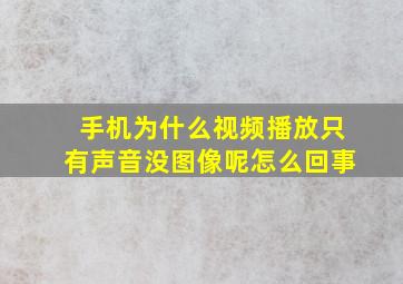 手机为什么视频播放只有声音没图像呢怎么回事