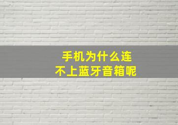 手机为什么连不上蓝牙音箱呢