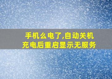 手机么电了,自动关机充电后重启显示无服务