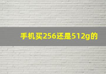 手机买256还是512g的