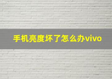 手机亮度坏了怎么办vivo