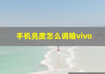 手机亮度怎么调暗vivo