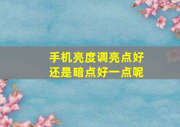 手机亮度调亮点好还是暗点好一点呢