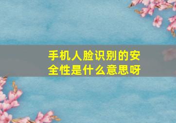 手机人脸识别的安全性是什么意思呀