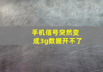 手机信号突然变成3g数据开不了