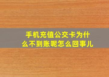 手机充值公交卡为什么不到账呢怎么回事儿