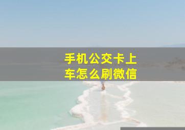 手机公交卡上车怎么刷微信