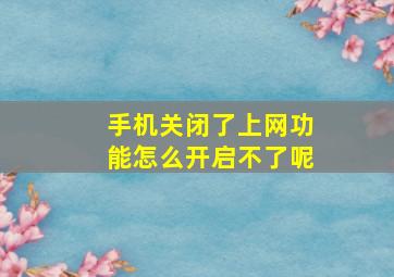 手机关闭了上网功能怎么开启不了呢