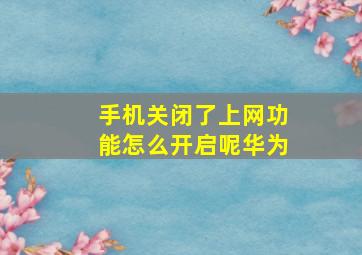 手机关闭了上网功能怎么开启呢华为