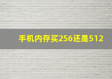 手机内存买256还是512