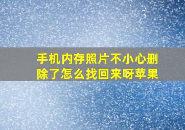 手机内存照片不小心删除了怎么找回来呀苹果