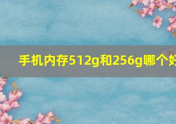 手机内存512g和256g哪个好