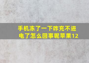 手机冻了一下咋充不进电了怎么回事呢苹果12