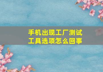 手机出现工厂测试工具选项怎么回事