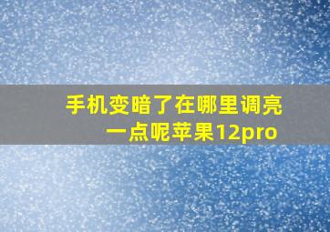 手机变暗了在哪里调亮一点呢苹果12pro