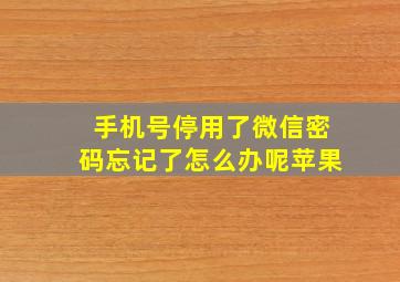 手机号停用了微信密码忘记了怎么办呢苹果