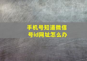 手机号知道微信号id网址怎么办