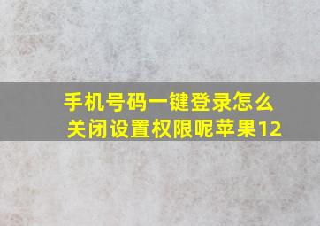 手机号码一键登录怎么关闭设置权限呢苹果12