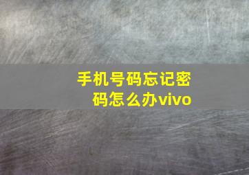 手机号码忘记密码怎么办vivo