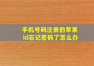 手机号码注册的苹果id忘记密码了怎么办