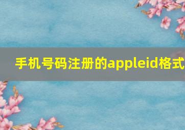 手机号码注册的appleid格式