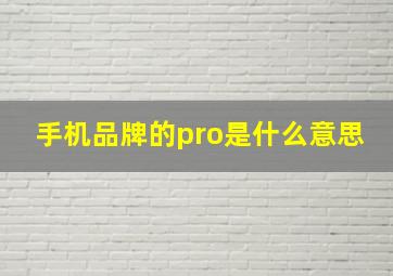 手机品牌的pro是什么意思