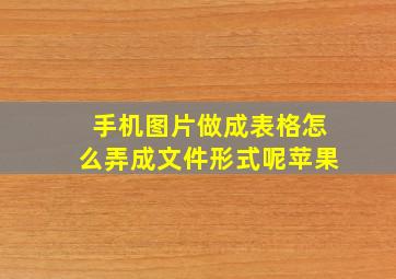 手机图片做成表格怎么弄成文件形式呢苹果