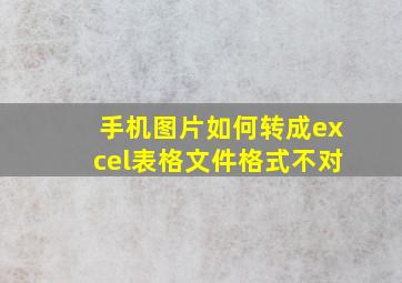 手机图片如何转成excel表格文件格式不对