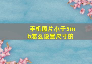 手机图片小于5mb怎么设置尺寸的