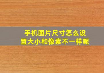 手机图片尺寸怎么设置大小和像素不一样呢