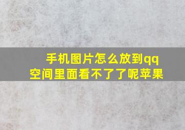 手机图片怎么放到qq空间里面看不了了呢苹果