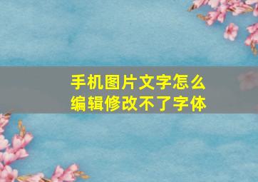 手机图片文字怎么编辑修改不了字体