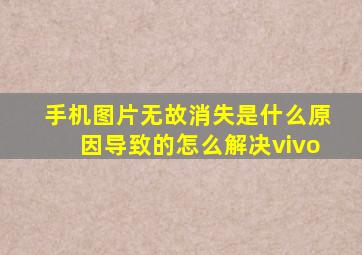 手机图片无故消失是什么原因导致的怎么解决vivo