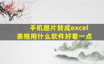 手机图片转成excel表格用什么软件好看一点