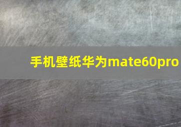 手机壁纸华为mate60pro