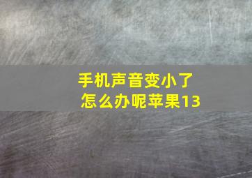 手机声音变小了怎么办呢苹果13