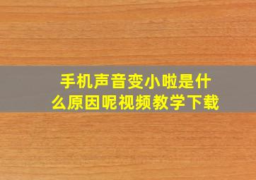 手机声音变小啦是什么原因呢视频教学下载